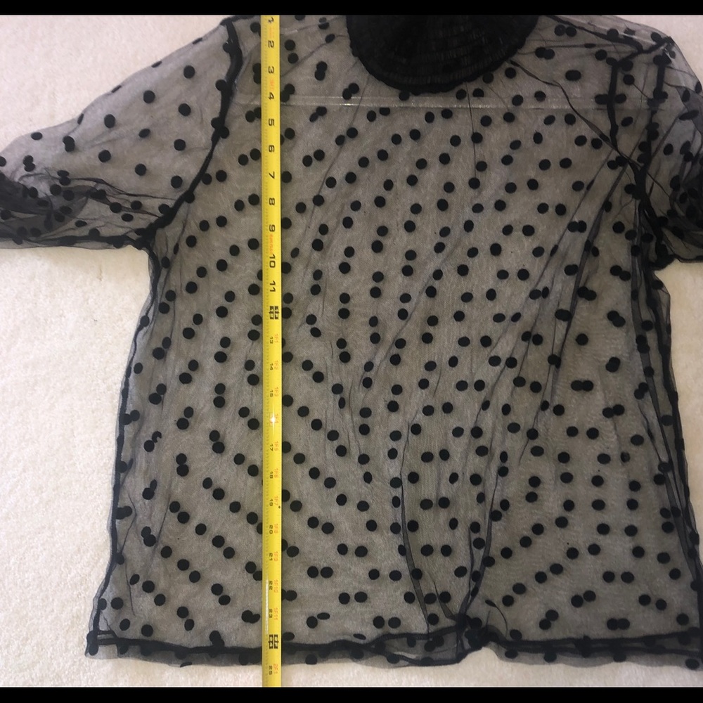 Swiss Dot Sheer Long Sleeve Black Top Whimsigoth Fairy Witchy Victorian Sz M/L - Picture 6 of 6